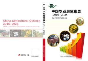 China Agricultural Outlook (2015-2024)